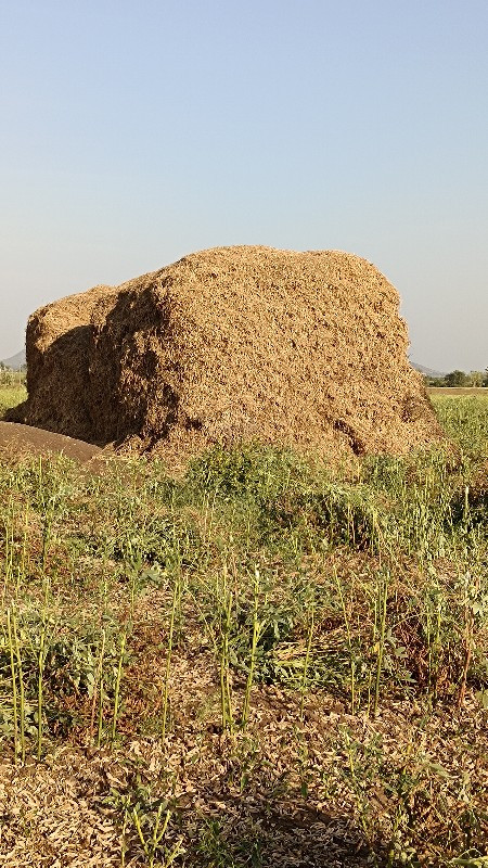 મગફળી ભૂકો