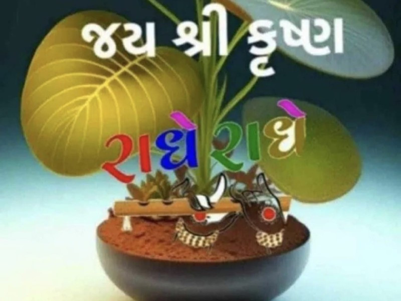 જામનગરમાંબંગલાસ...