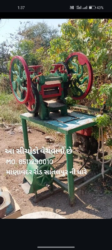 સીસુડો