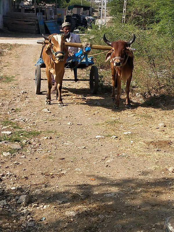 16 વાગ્યાથી મેચ