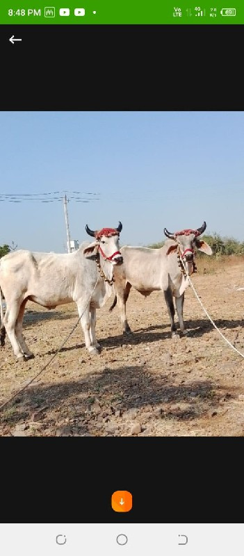 devbhumi Dwarka