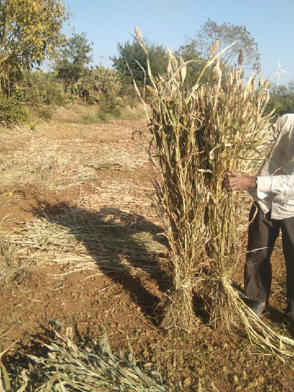 નિરણ વેચવાની છે