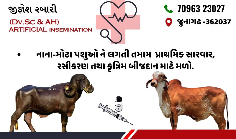 પશુ ડૉક્ટર વેટન...