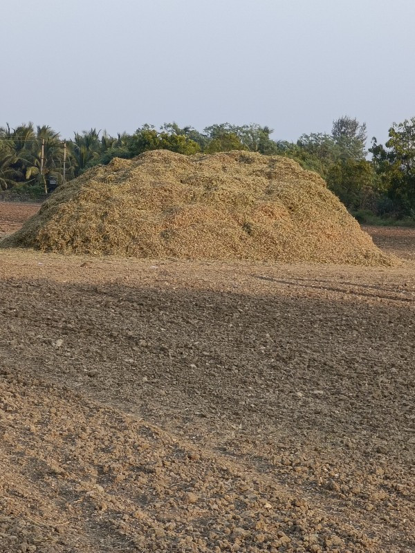 માંડવીયા નો  સા...