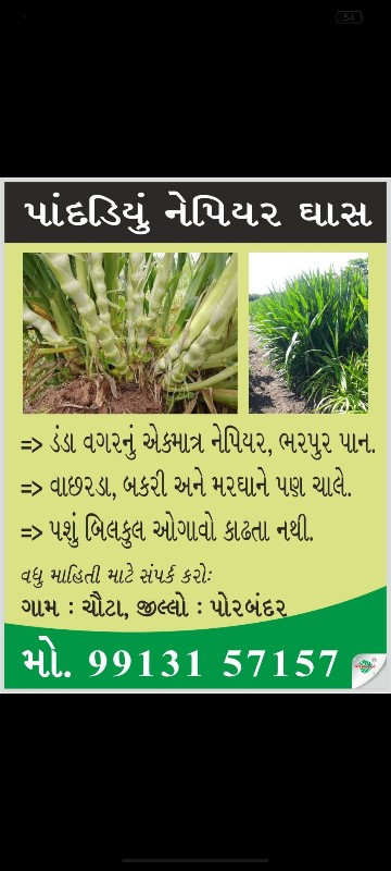 આખા ગુજરાત માં...