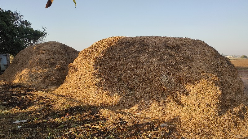 માંડવી નો ભૂકો....