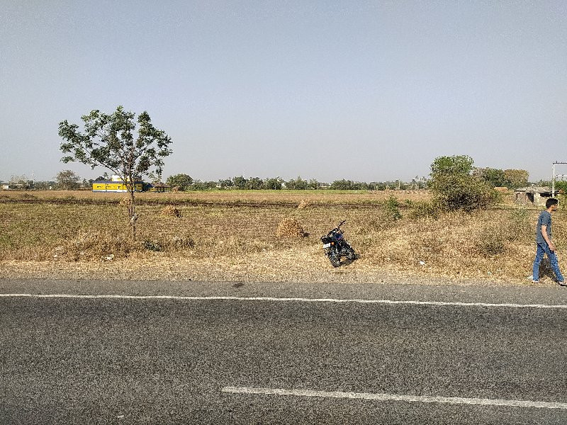 જામીન વેચવાની છ...