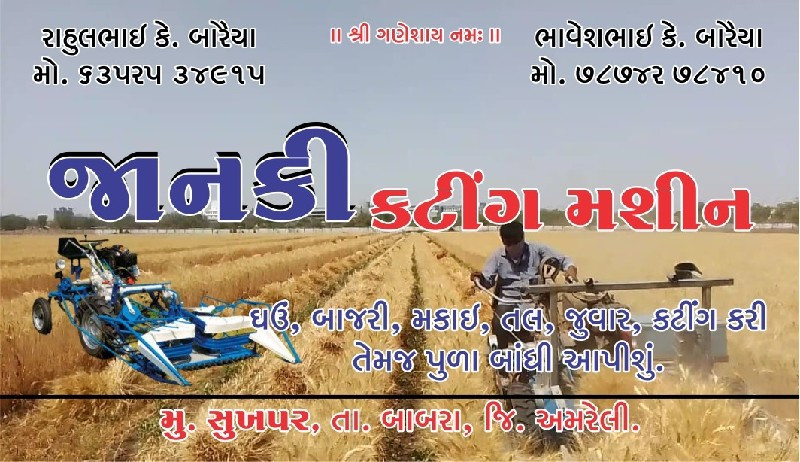 ઘાવ વાઢીને પૂળા...