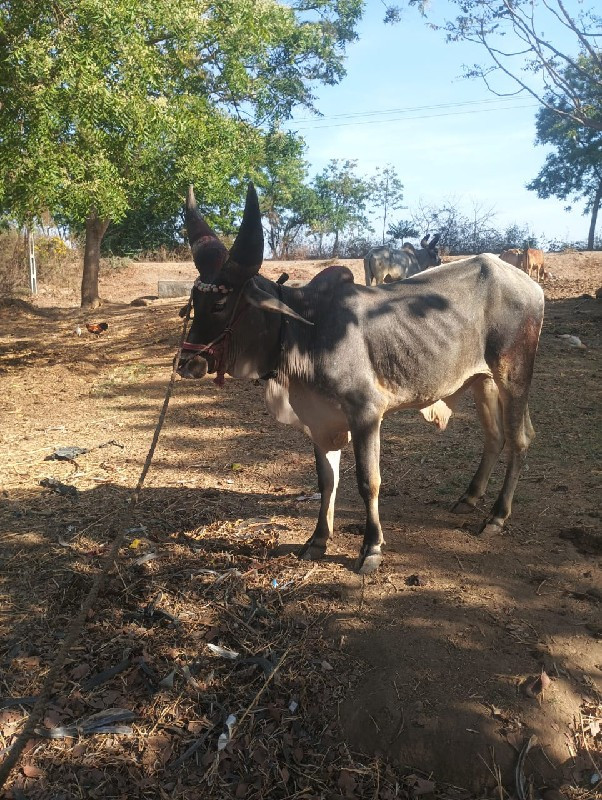 ટોટલ જવાબદારી