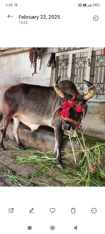 ગોઢલો વેસવાનો છ...