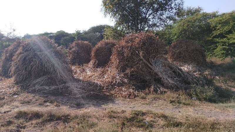 કળબ વેચવાની છે