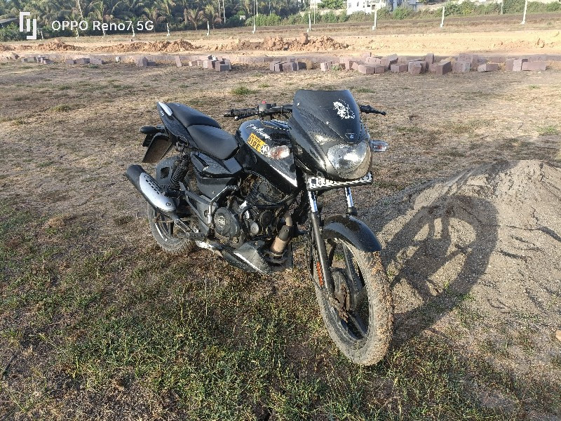 pulsar 125cc