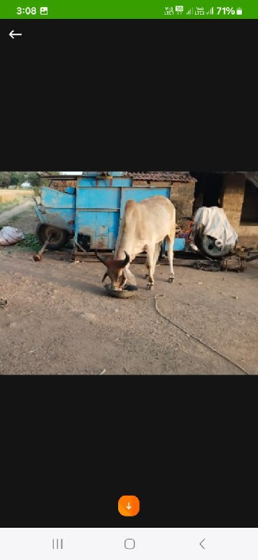 devbhumi Dwarka...