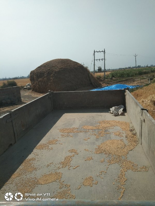 ટોલી