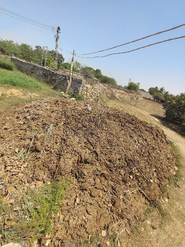 ખાતર વેચવાનું હ...