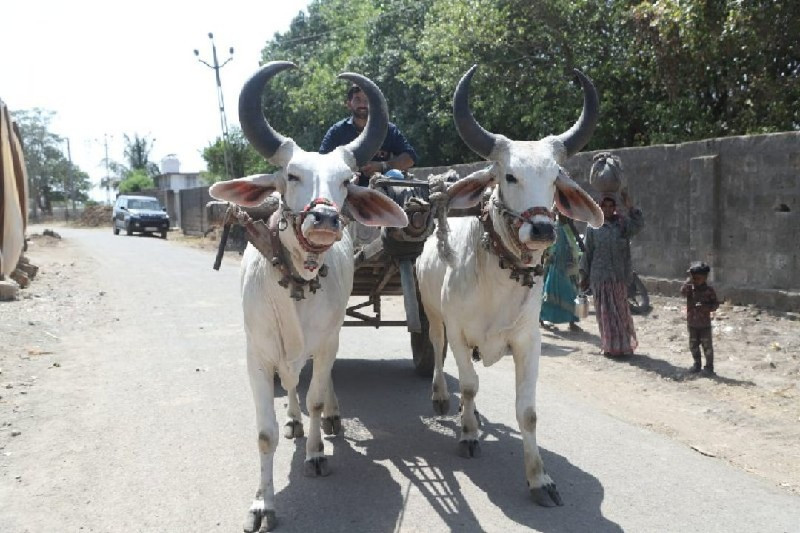 બરધવેસવાનાસે
