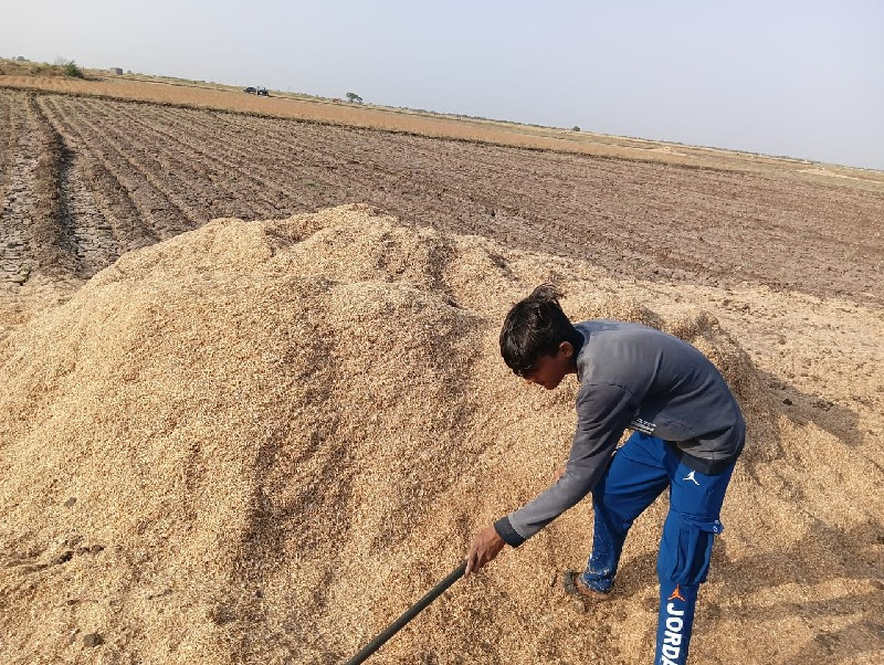 ખારીયુ વેચવાનુ...