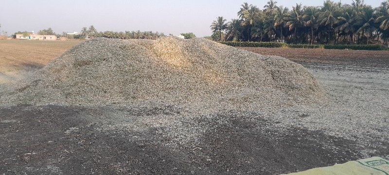 ચારો વેચવાનો છે...