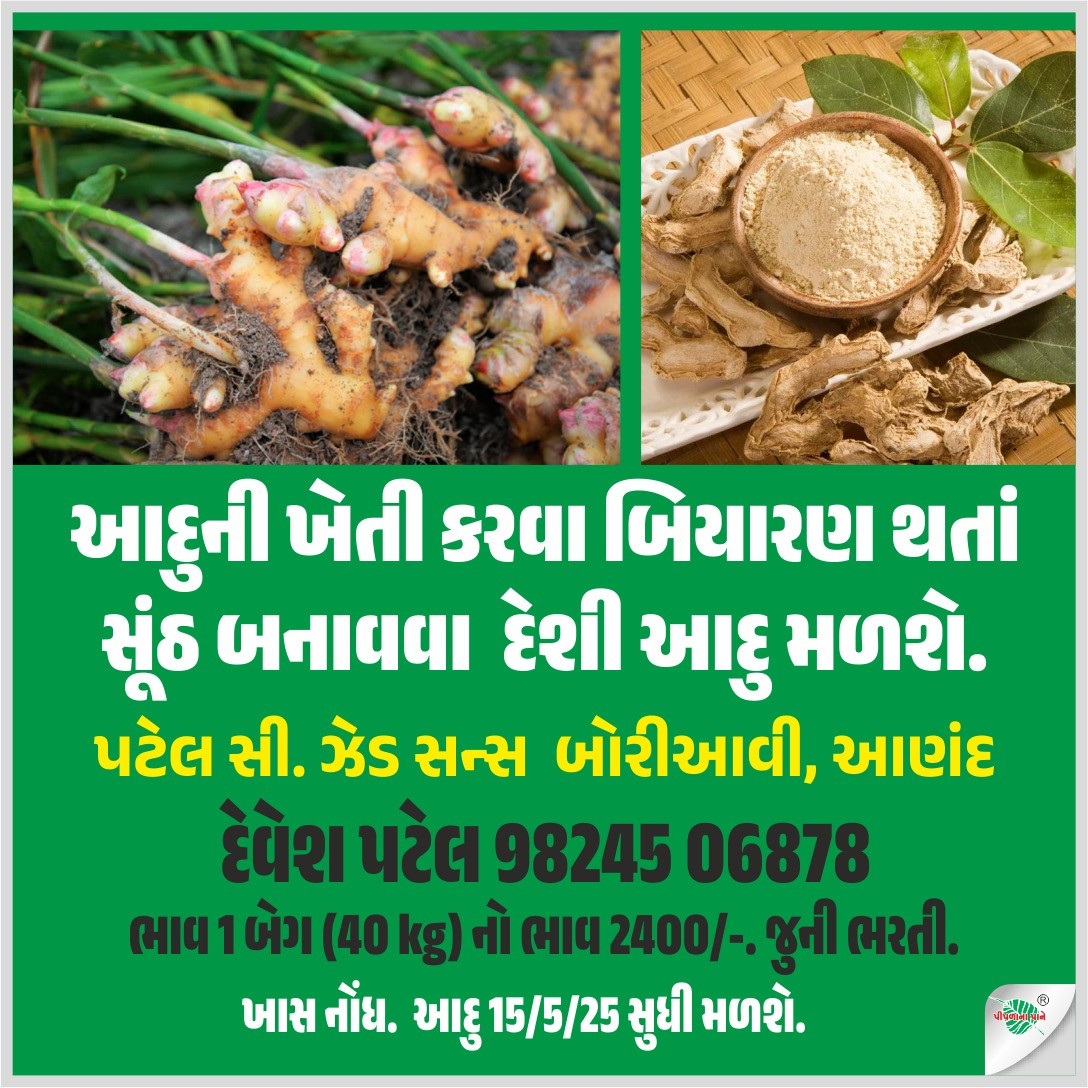 આદુની ખેતી કરવા...