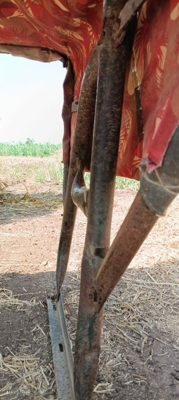 ટેકટર છાદલી