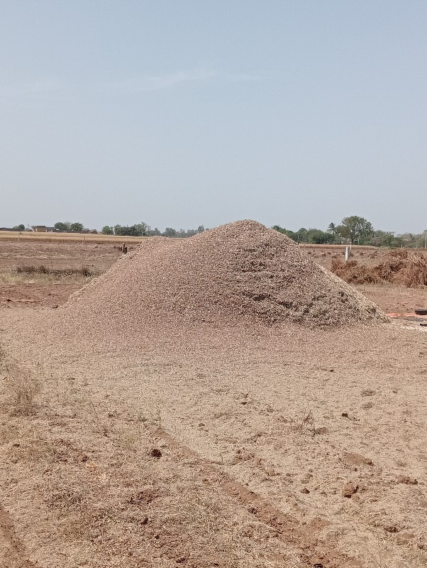 તુવેર નો ચારો વ...