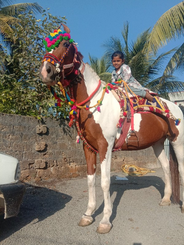 ઘોઙી, વેસવાનિછે