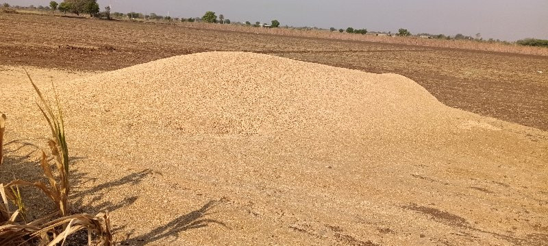 ચણા નું ખારીયુ