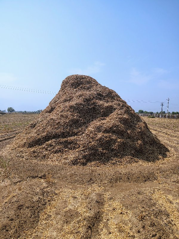 મગફળી નો ભૂકો વ...