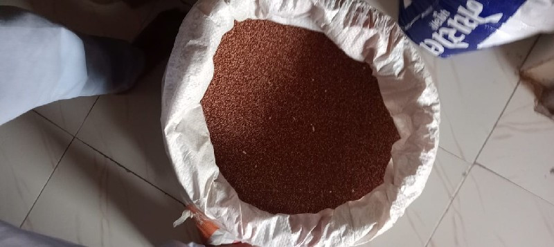 રાગી વેસવાની છે
