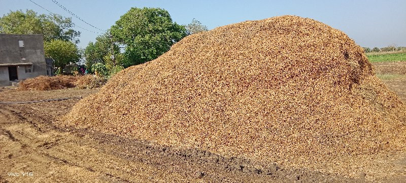 માંડવી નો ભૂકો