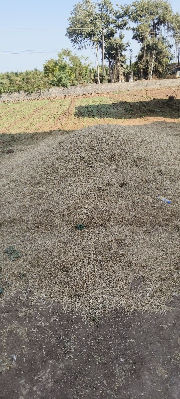 ચણાનો ભૂકો વેચવ...