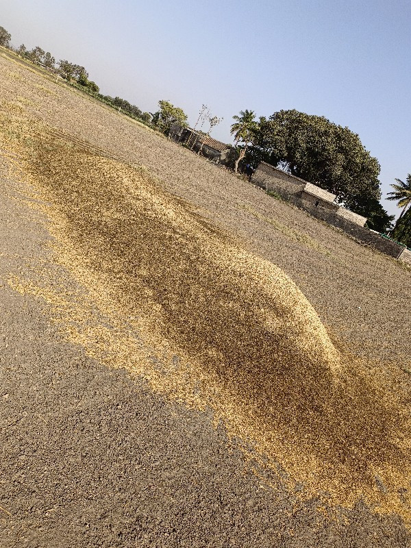 sana no khariyo...