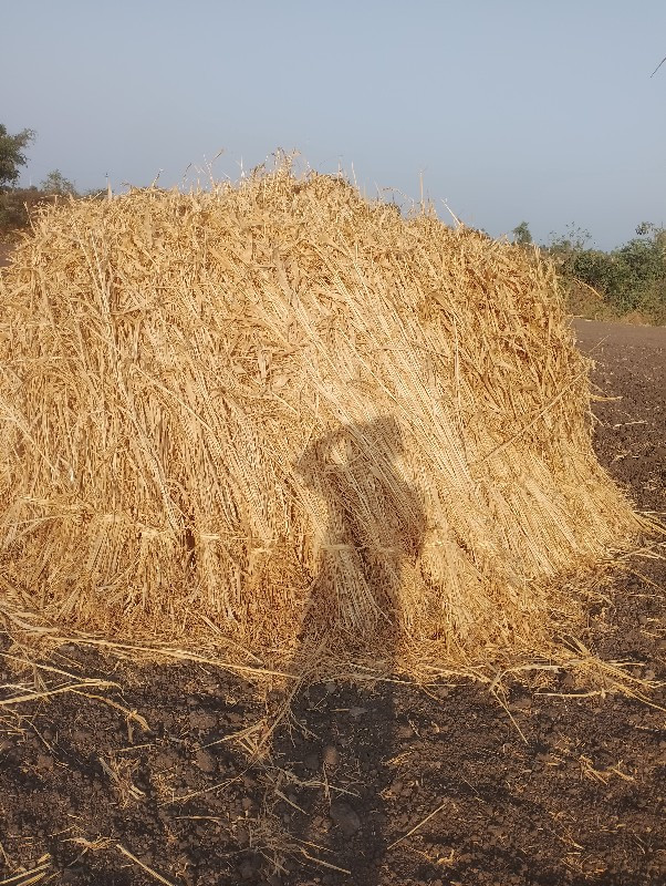 જુવાર ના પુલા