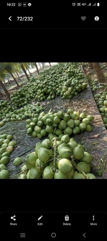 ત્રોપા લેવાના છ...
