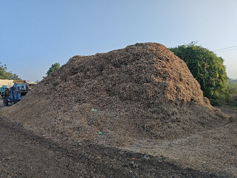 નવો અને સાવ કોર...