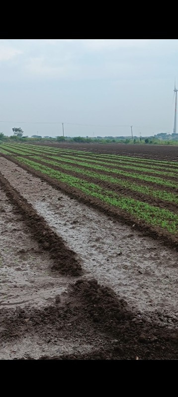 જમીન વેચ વાની છ...