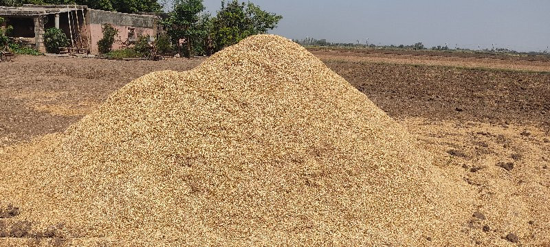 ચણાનુ  ખારિયુ...