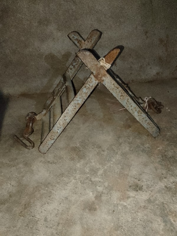 કાડી  વેસવી