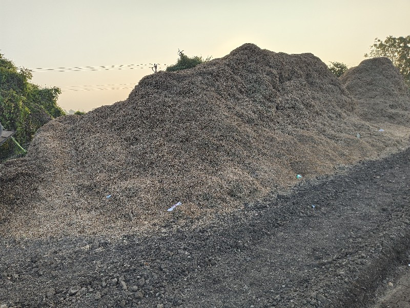 નવો અને સાવ કોર...