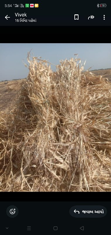 ચાર,વેચવાની છે,...