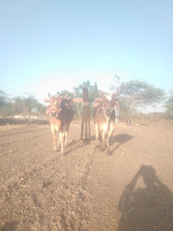 24000 રૂપિયા