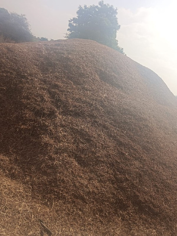 તુવેર ભુકો અને...