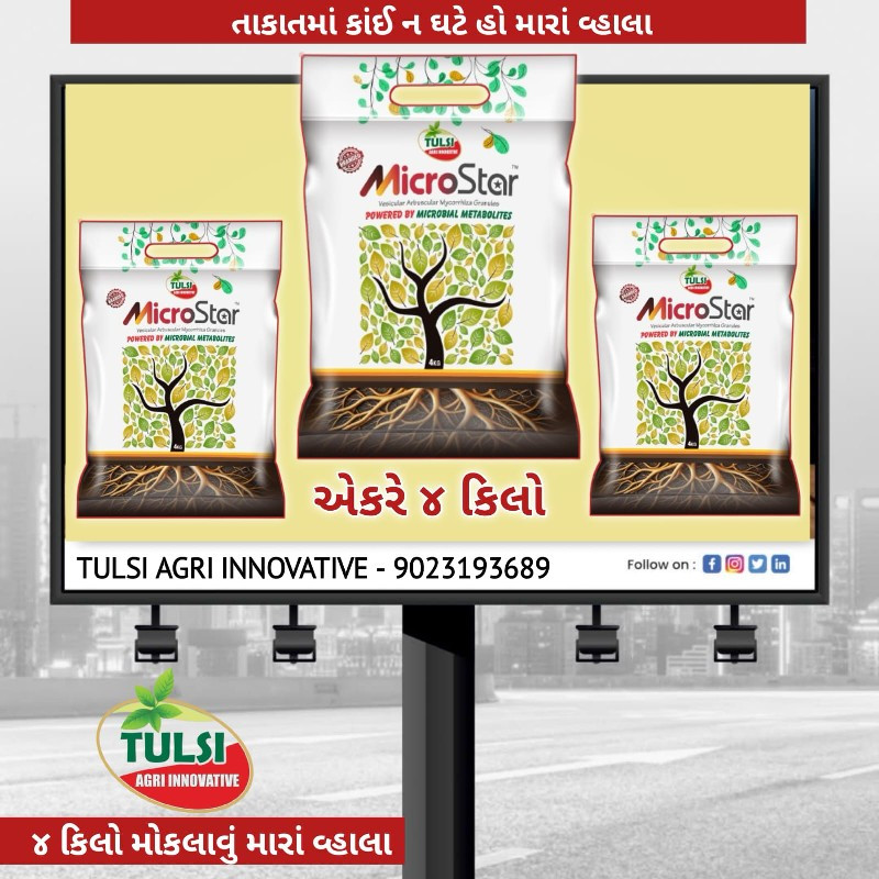 માઈક્રો સ્ટાર
