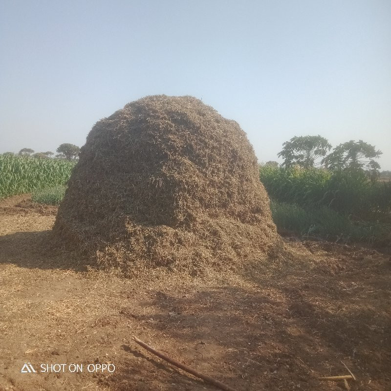 મગફળી નો ભુકો વ...