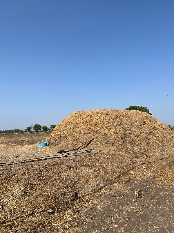 ભૂકો વેચવાનો છે