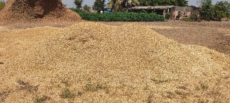 ચણાનુ  ખારિયુ...