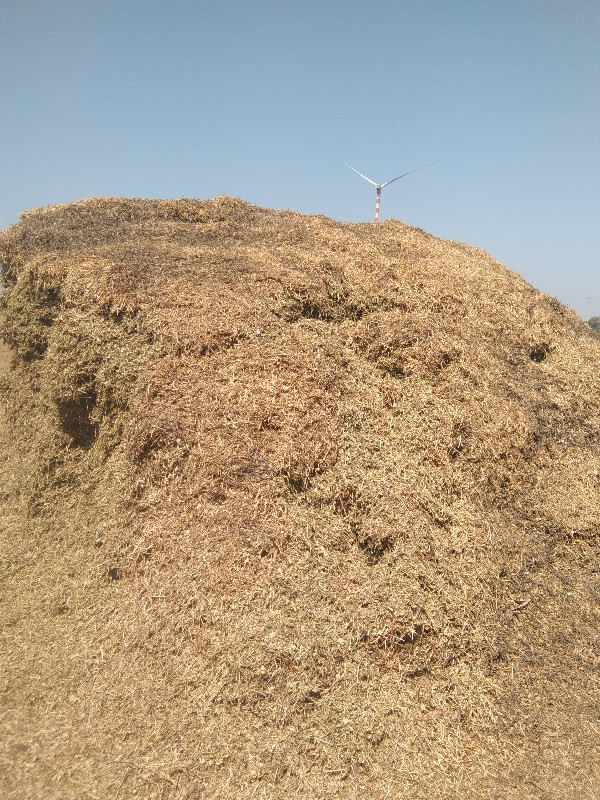 માંડવી નો ભુક્ક...