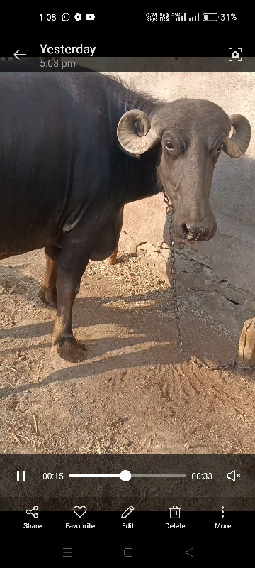 ડોઢ મહિના વાર છ...