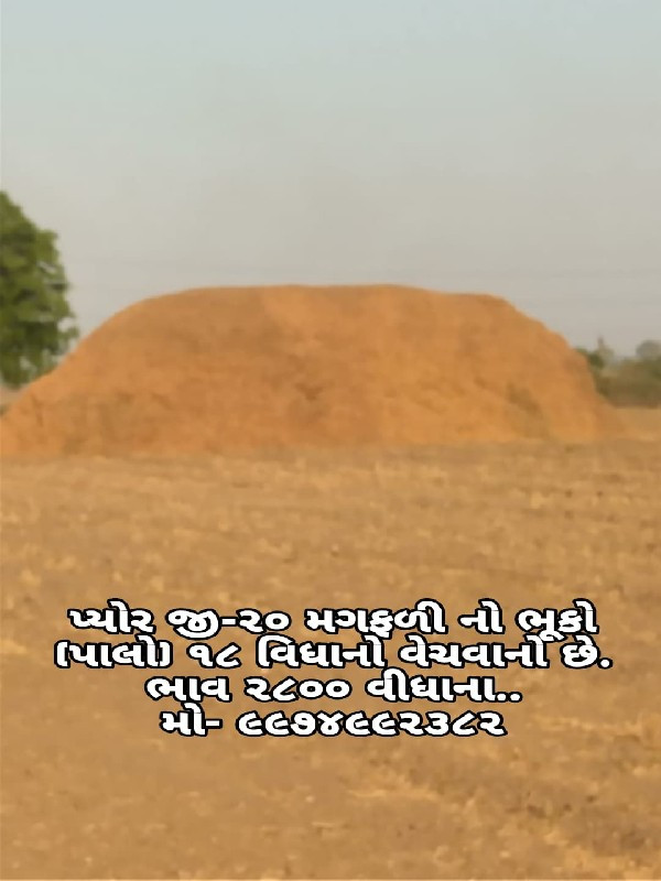 મગફળી નો પાલો (...