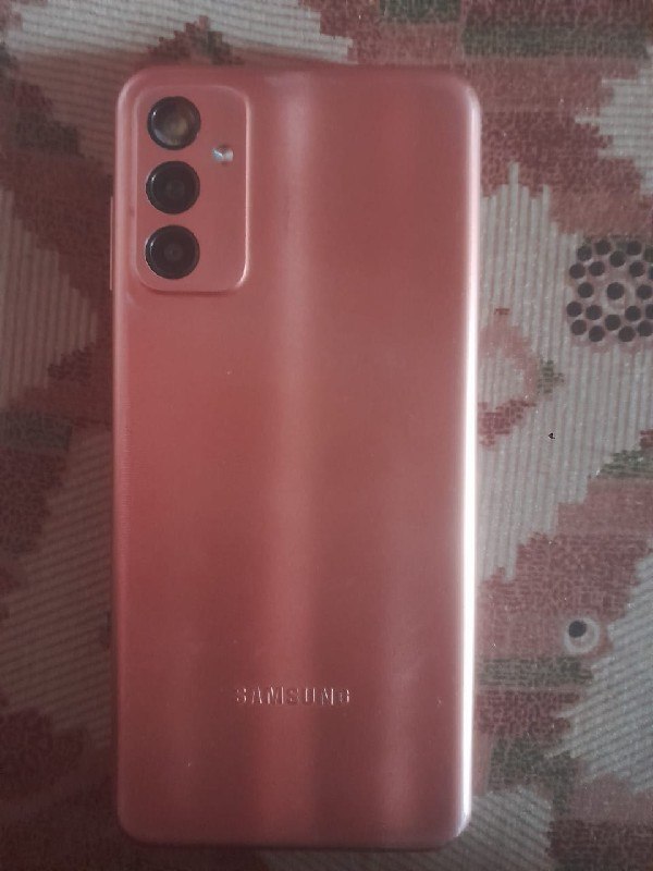 samsung F13